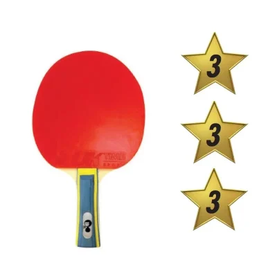 Paleta Ping Pong Premium Clásica 3 Estrellas
