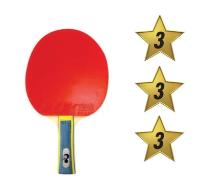 Paleta Ping Pong Premium Clásica 3 Estrellas