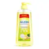 Lavalozas Formula Concentrada Aroma Jengibre 1 L. Aileda1