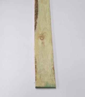 PINO TAPA 1X4