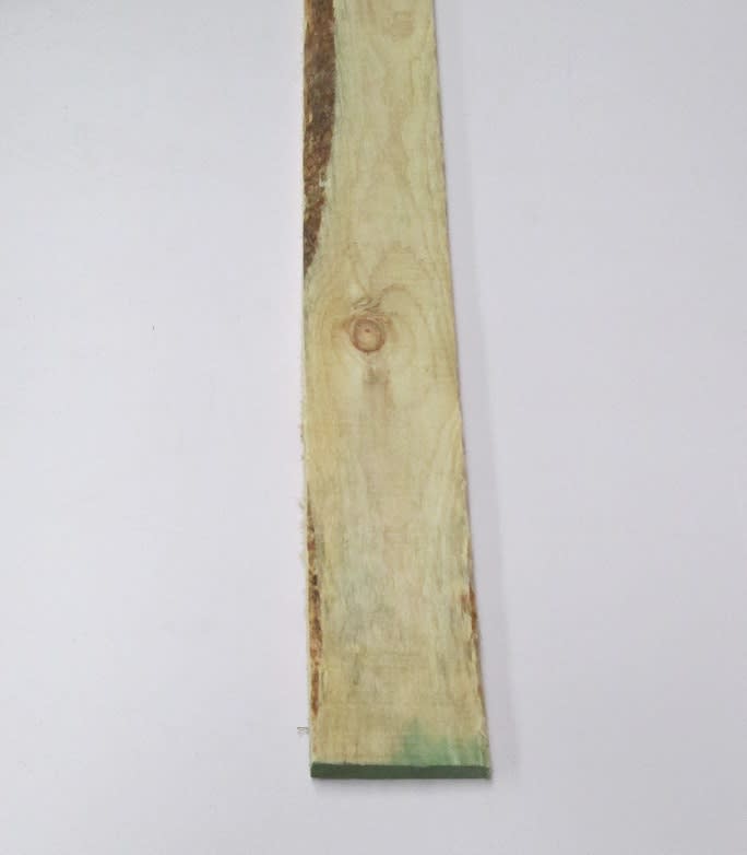 PINO TAPA 1X41