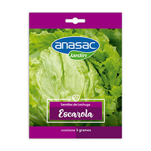 SEMILLA HORTALIZA LECHUGA ESCAROLA ANASAC 5 GR