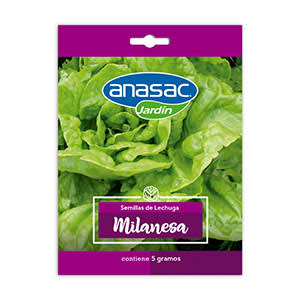 SEMILLA HORTALIZA LECHUGA MILANESA ANASAC 5GR