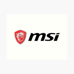 MSI