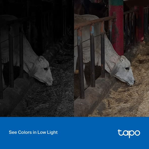 Cámara de Vigilancia Tp-link Tapo C320WS Exteriores Visión Nocturna Full Color 2k QHD4