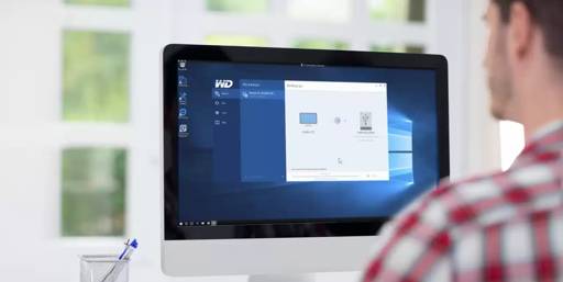 Disco Duro Western Digital Blue 1Tb 3.5