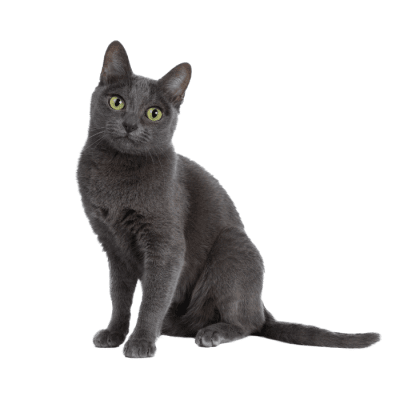 GATOS