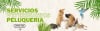 https:  petwild.crmveterinario.com reserva_online