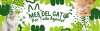 bannermesdelgatopc3344.webp