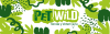 bannerprincipalpc4226.webp