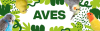 collection aves
