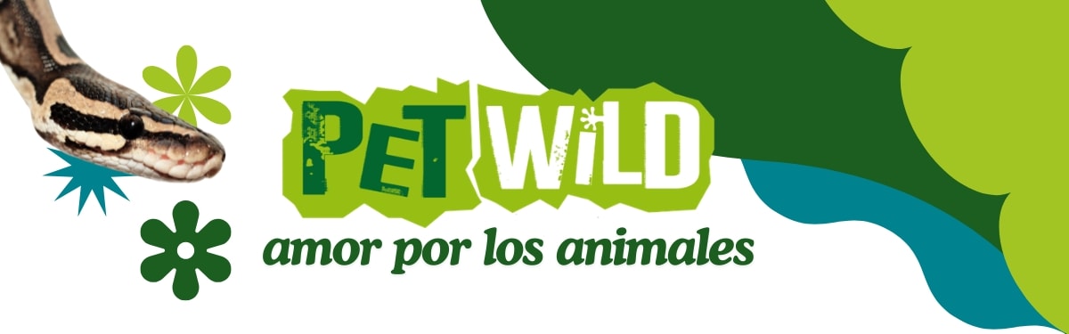 amorporlosanimales 18930