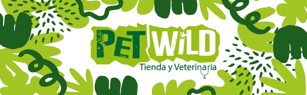 bannerprincipalpc4226.webp