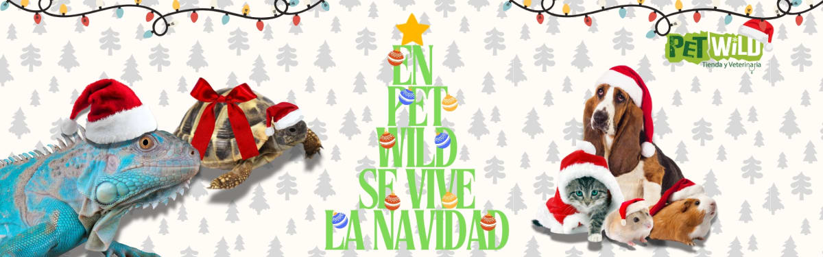 https:  newpetwild.bsalemarket.comkit navidenos