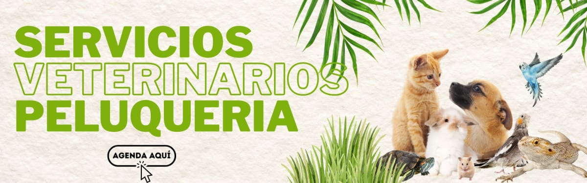 form contacto veterinaria