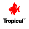 TROPICAL