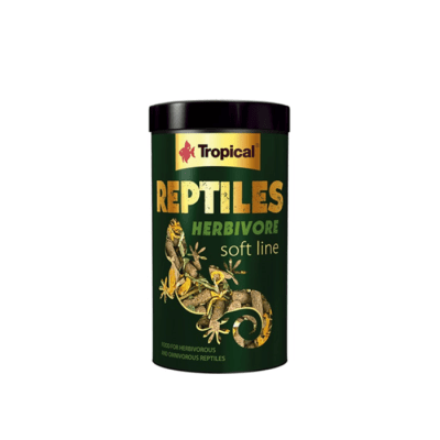 REPTILE HERBIVORE