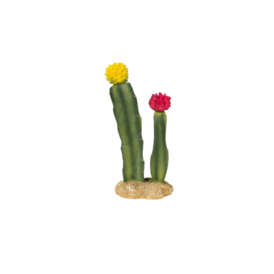 CACTUS DECORACION CON FLORES