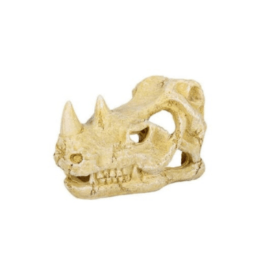 CUEVA CALAVERA DERINOCERONTE (TALLA L)