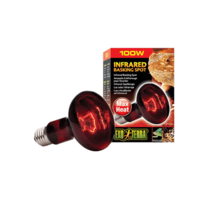 AMPOLLETA INFRAROJA (100 WTS) EXOTERRA