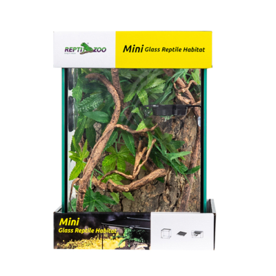 KIT GECKO CRESTADO TERRARIO 21X21X30 CM