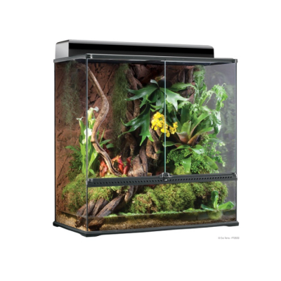 TERRARIO NATURAL HÁBITAT DE REPTILES GRANDE / AVANZADO