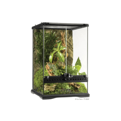 TERRARIO NATURAL MINI / HÁBITAT DE REPTILES AVANZADO