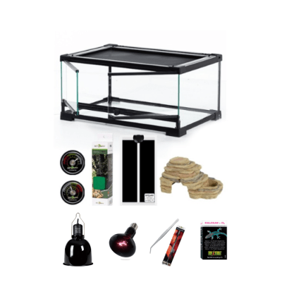 KIT HABITAT PARA GECKO LEOPARDO BEBE