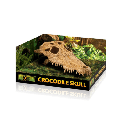 REFUGIO CRANEO COCODRILO EXO TERRA