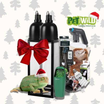 KIT NAVIDEÑO CAMALEON