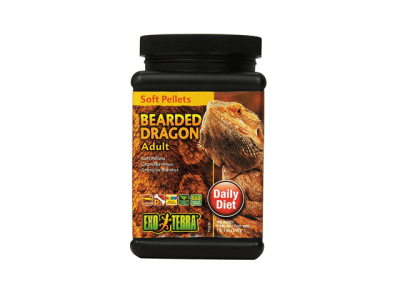 EXOTERRA DRAGON BARBUDO