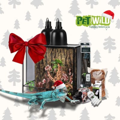 KIT NAVIDEÑO IGUANA AZUL
