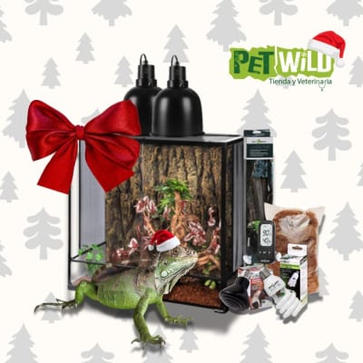 KIT NAVIDEÑO IGUANA VERDE