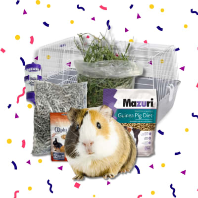 KIT COBAYO DIA DEL NIÑO