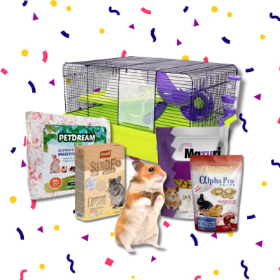 KIT HAMSTER GOLDEN DIA DEL NIÑO