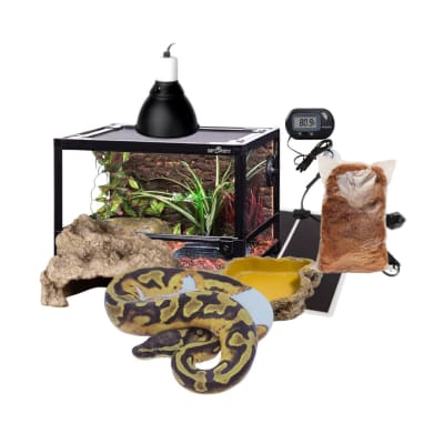 KIT PITON BOLA PIED BALL HEMBRA