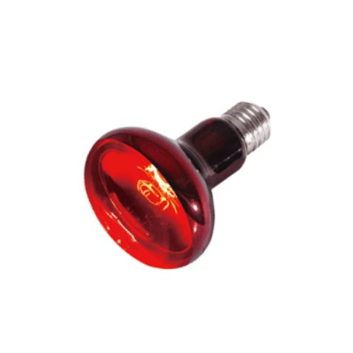 AMPOLLETA INFRAROJA (50 W)1
