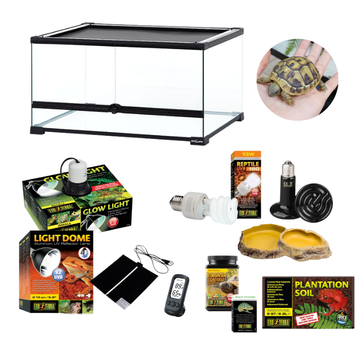 KIT PARA TORTUGA  (TERRARIO 60x45x32 cm)1