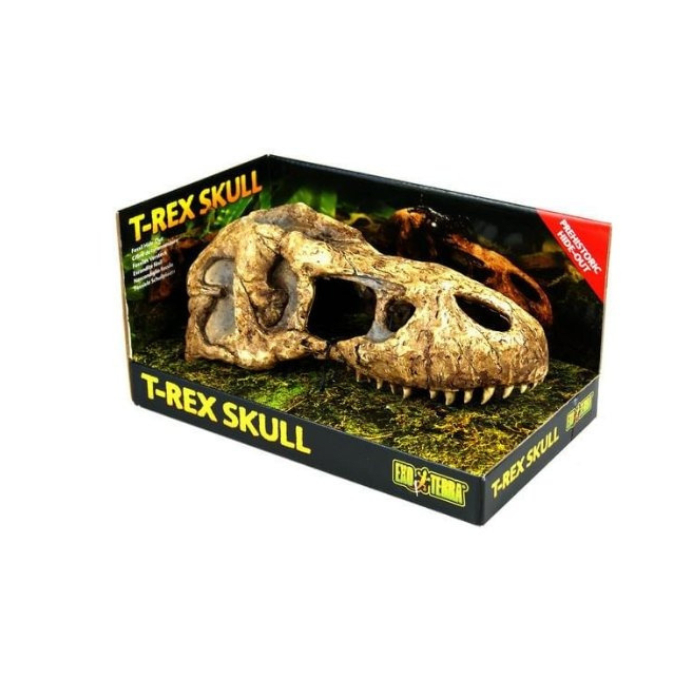 CUEVA T-REX1