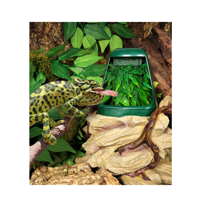 BEBEDERO Y HUMIDIFICADOR PARA CAMALEONES1