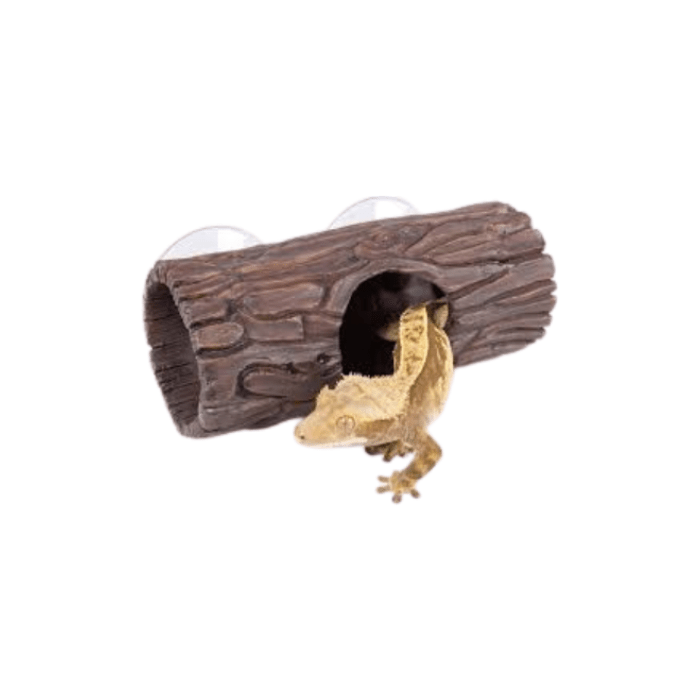 GUARIDA PARA GECKOS ARBOREOS1