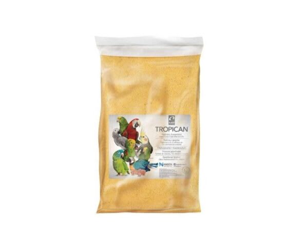 KIT PAPILLERO1