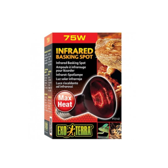 AMPOLLETA INFRAROJA 75 WTS EXOTERRA1