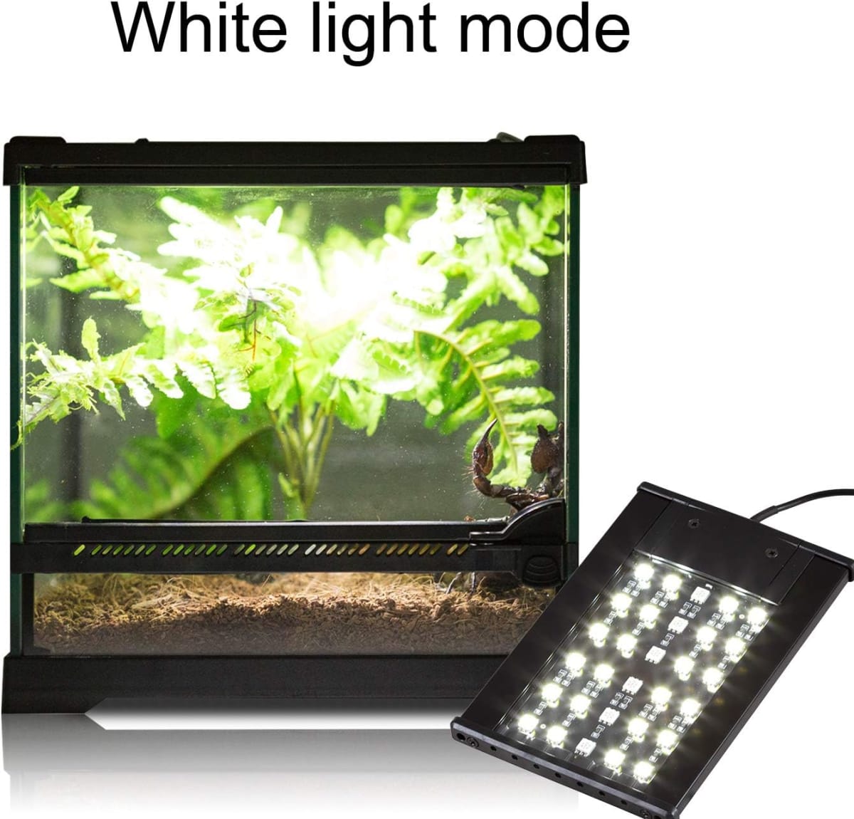 LAMPARA DE LUZ LED, DIURNA Y NOCTURNA, 6 W. 6