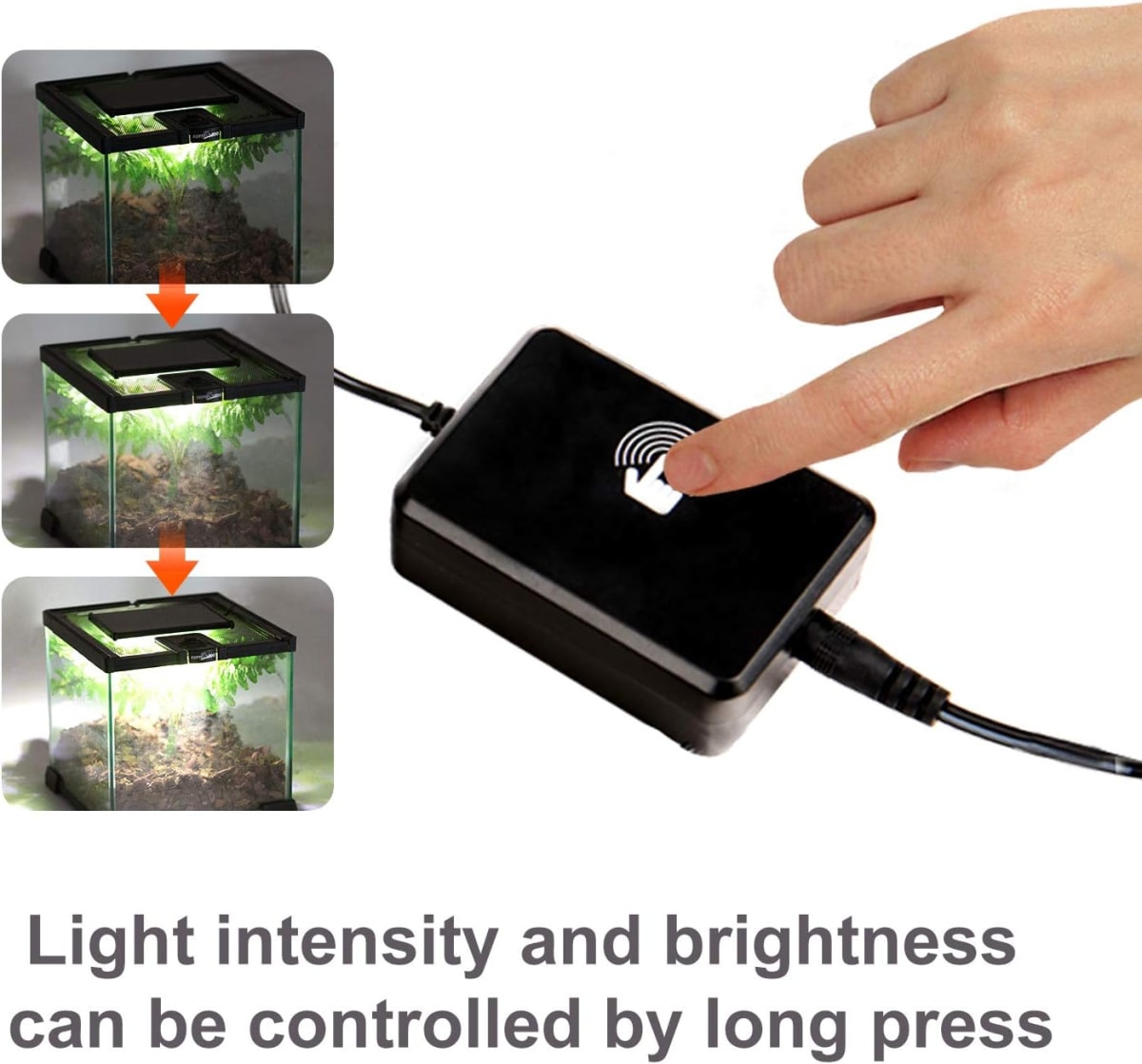 LAMPARA DE LUZ LED, DIURNA Y NOCTURNA, 6 W. 1