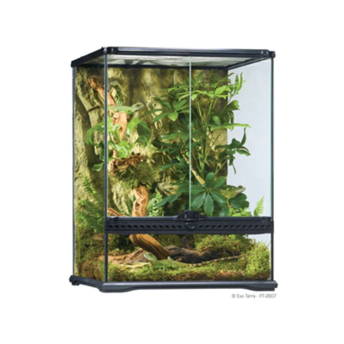 NATURAL TERRARIUM SMALL/TALL 45X45X601