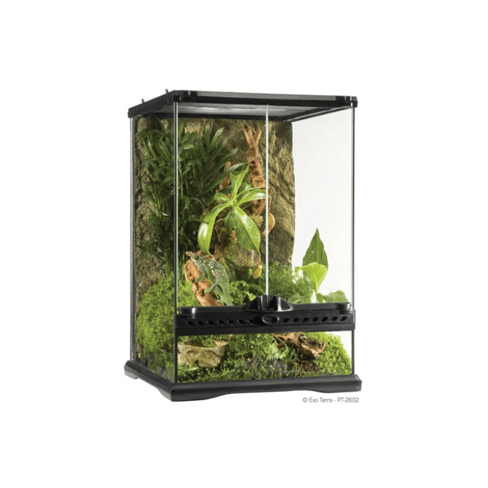 TERRARIO NATURAL MINI / HÁBITAT DE REPTILES AVANZADO1