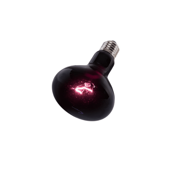 AMPOLLETA NOCTURNA 75W REPTIZOO1