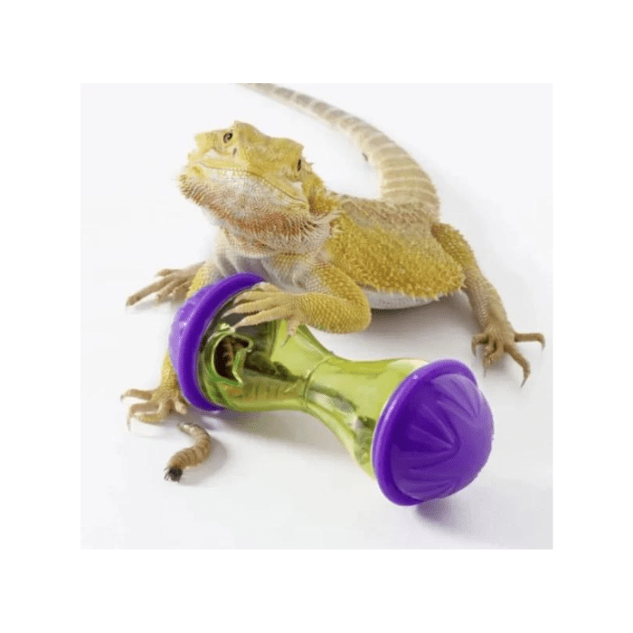 COMEDERO DE ENRIQUECIMIENTO PARA REPTILES4