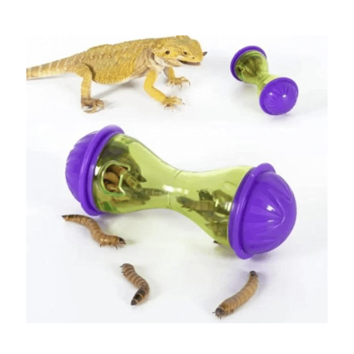 COMEDERO DE ENRIQUECIMIENTO PARA REPTILES2